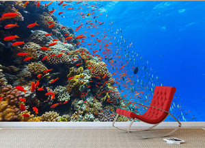 Beautiful coral reef with fish in Red sea Wall Mural Wallpaper - Canvas Art Rocks - 2