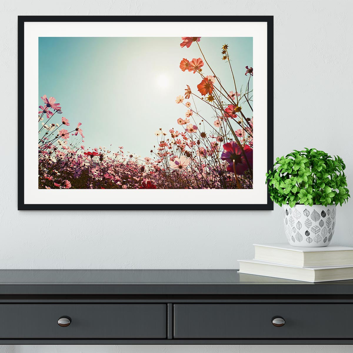 Beautiful cosmos flower field Framed Print - Canvas Art Rocks - 1