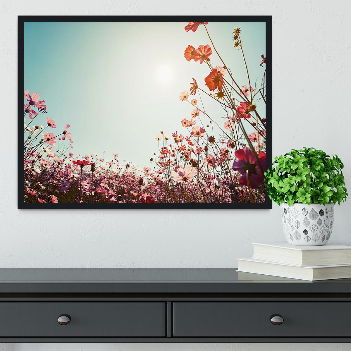 Beautiful cosmos flower field Framed Print - Canvas Art Rocks - 2
