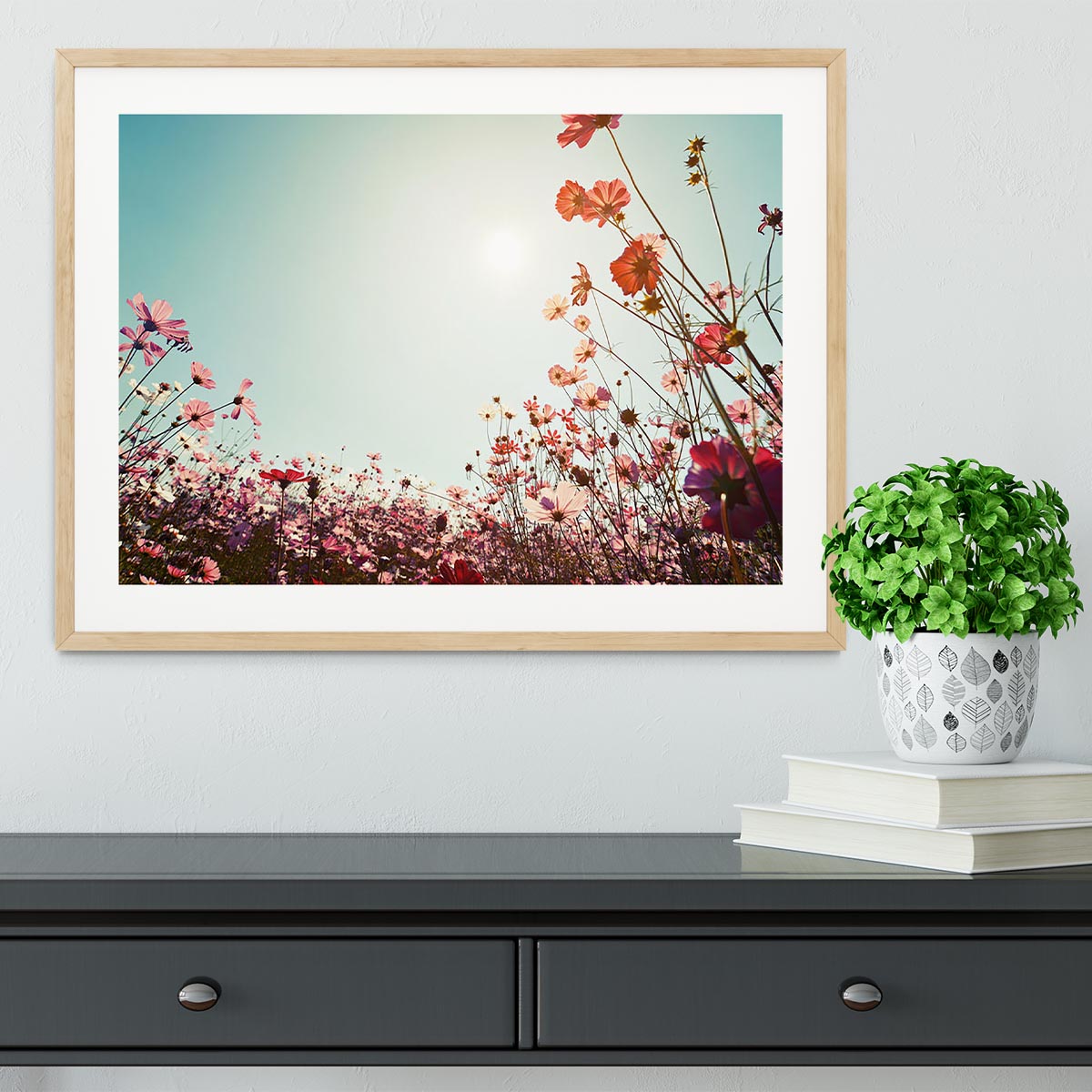 Beautiful cosmos flower field Framed Print - Canvas Art Rocks - 3
