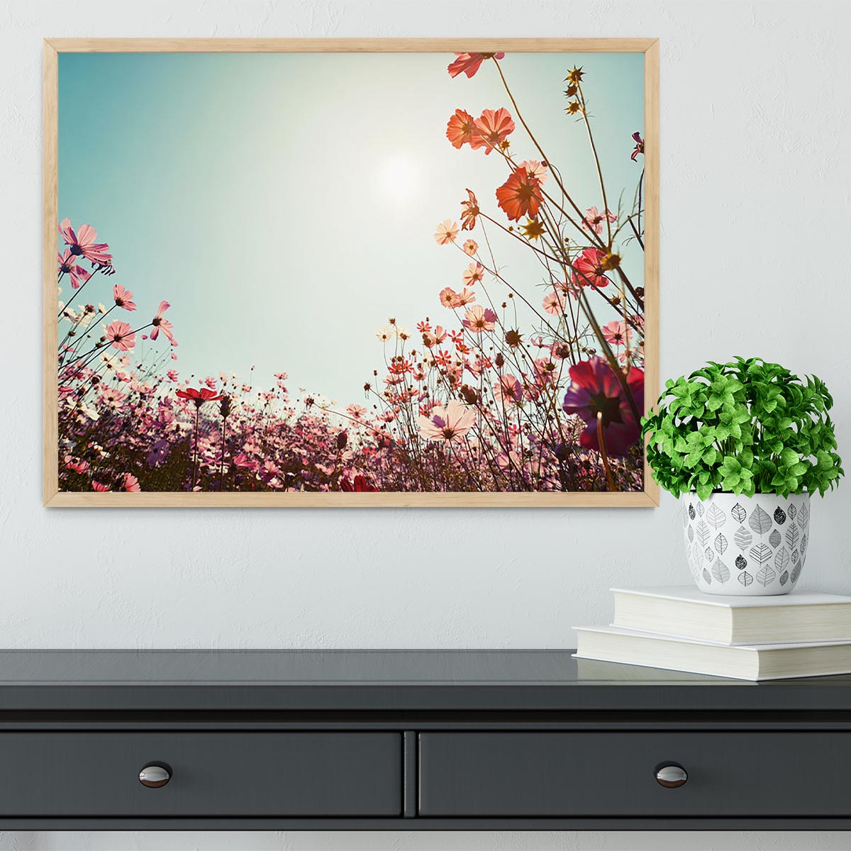 Beautiful cosmos flower field Framed Print - Canvas Art Rocks - 4