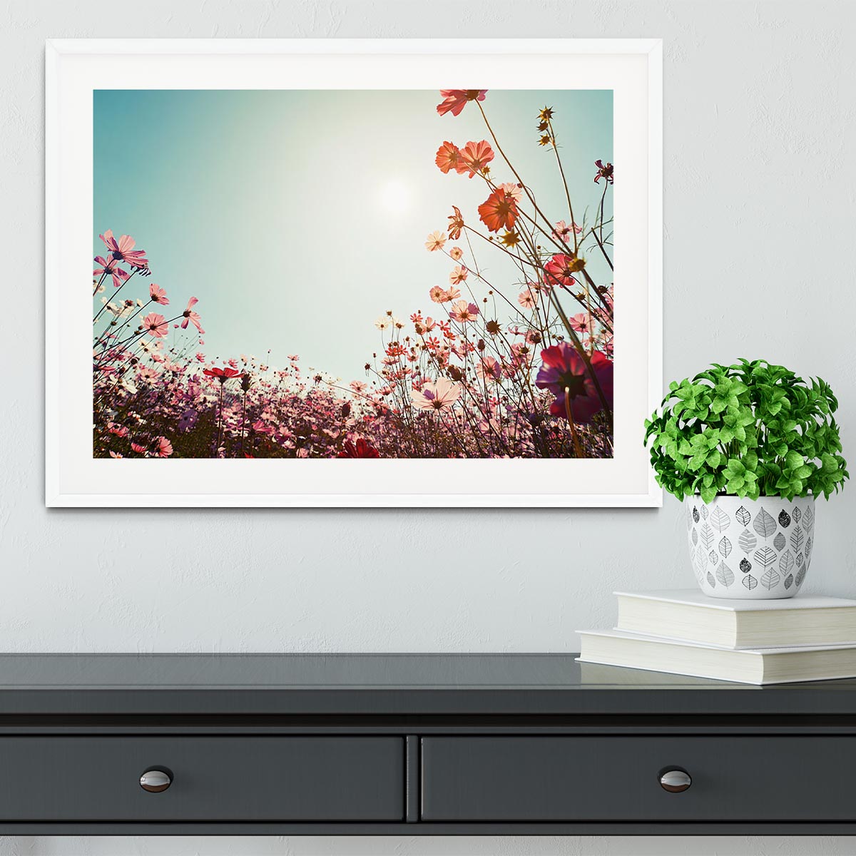 Beautiful cosmos flower field Framed Print - Canvas Art Rocks - 5