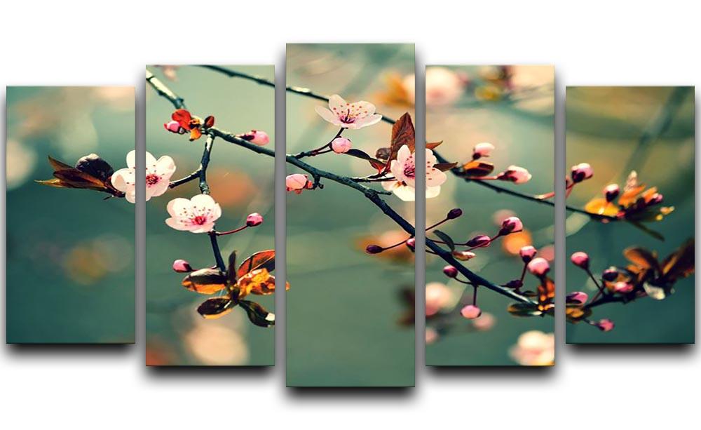 Beautiful flowering Japanese cherry 5 Split Panel Canvas  - Canvas Art Rocks - 1