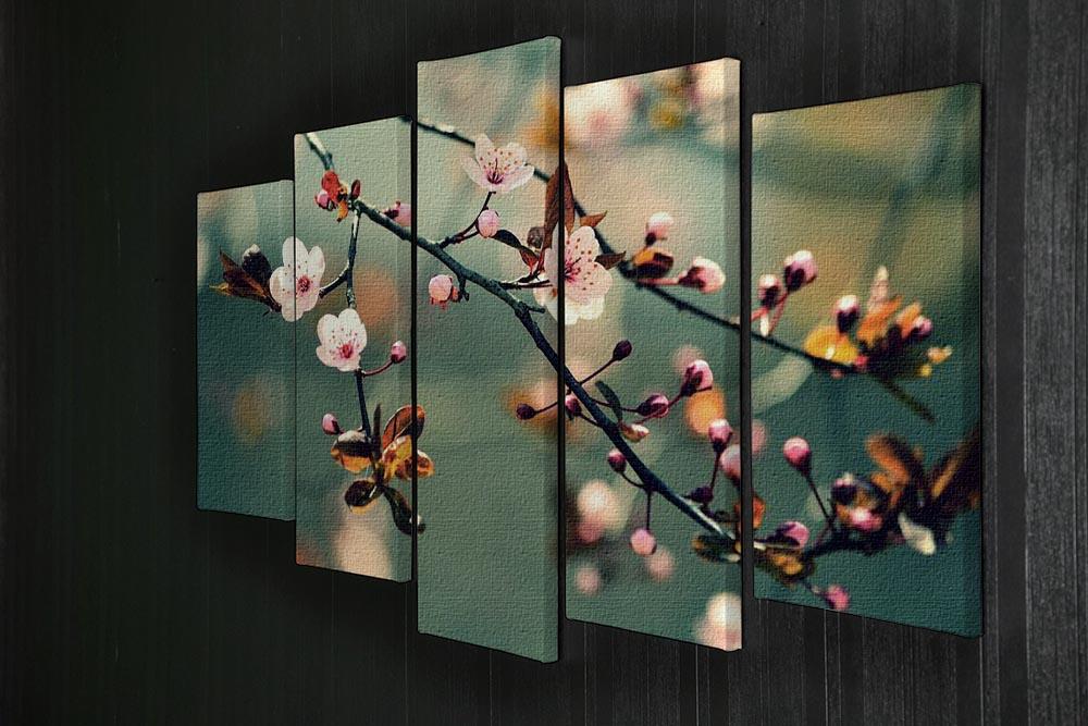 Beautiful flowering Japanese cherry 5 Split Panel Canvas  - Canvas Art Rocks - 2