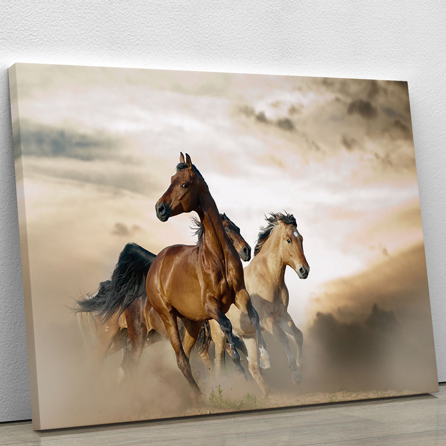 Beautiful horses of different breeds Canvas Print or Poster - Canvas Art Rocks - 1