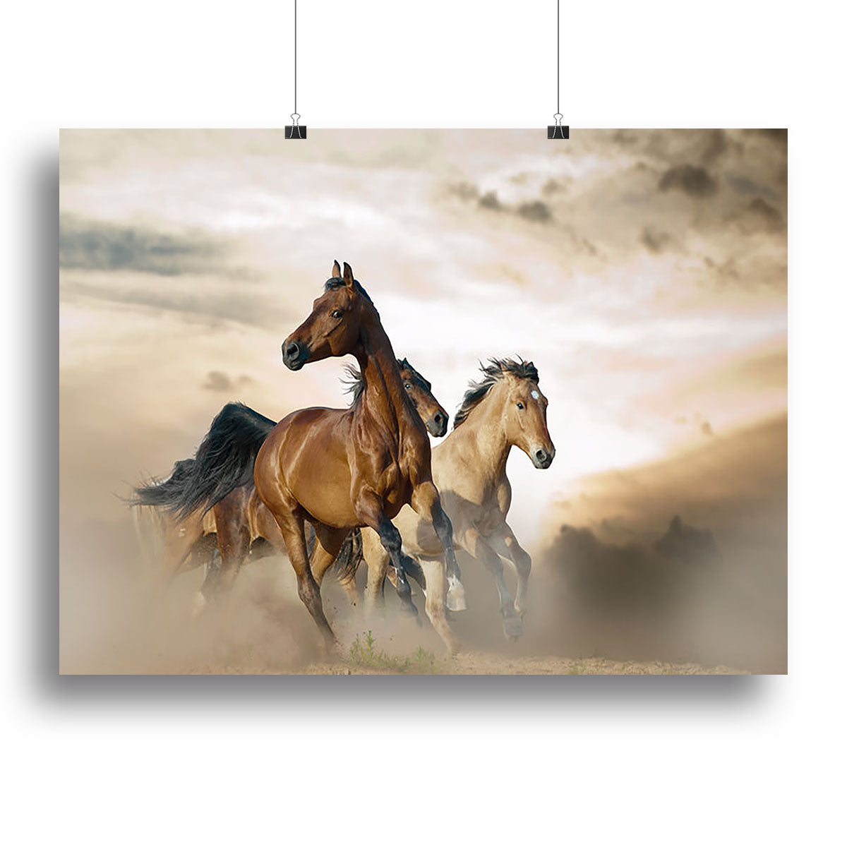 Beautiful horses of different breeds Canvas Print or Poster - Canvas Art Rocks - 2