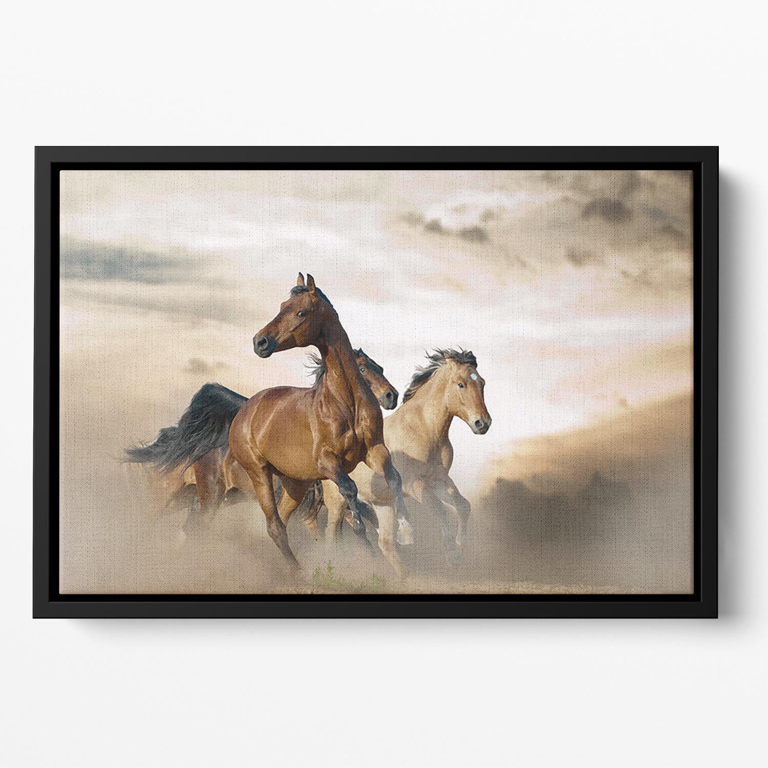 Beautiful horses of different breeds Floating Framed Canvas - Canvas Art Rocks - 2