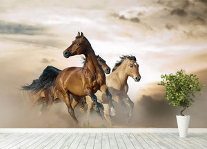 Beautiful horses of different breeds Wall Mural Wallpaper - Canvas Art Rocks - 4