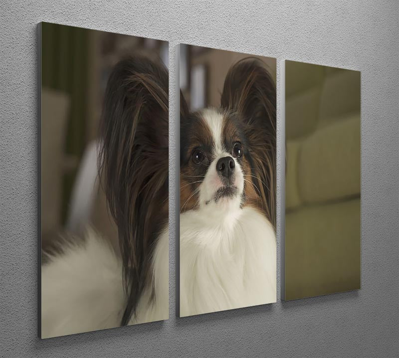 Beautiful male dog Papillon 3 Split Panel Canvas Print - Canvas Art Rocks - 2