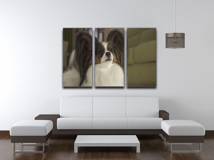 Beautiful male dog Papillon 3 Split Panel Canvas Print - Canvas Art Rocks - 3