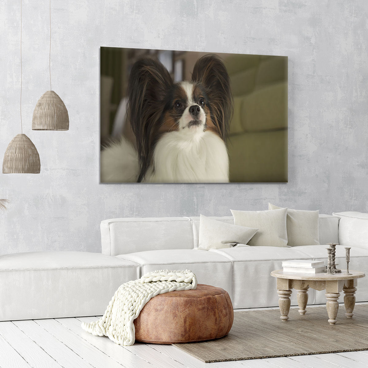Beautiful male dog Papillon Canvas Print or Poster - Canvas Art Rocks - 6