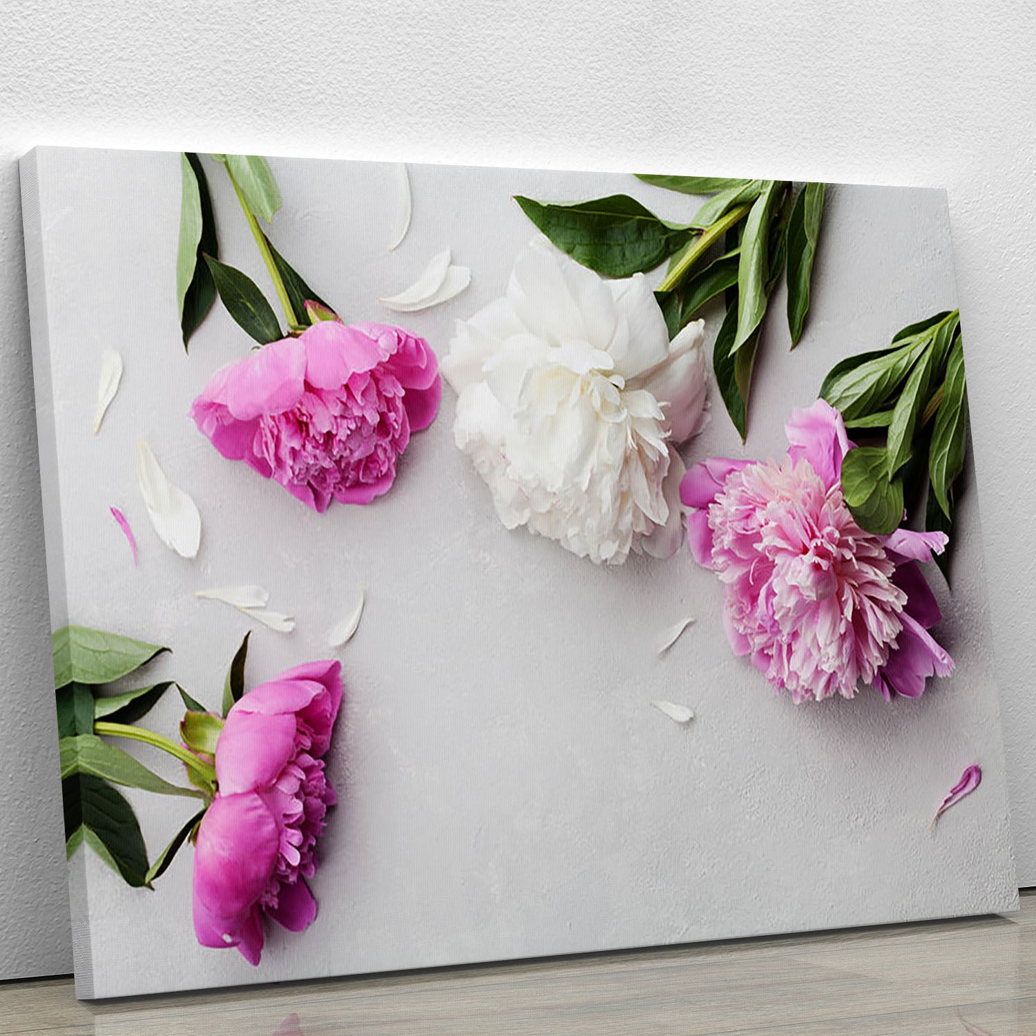 Beautiful pink and white peony flowers Canvas Print or Poster - Canvas Art Rocks - 1