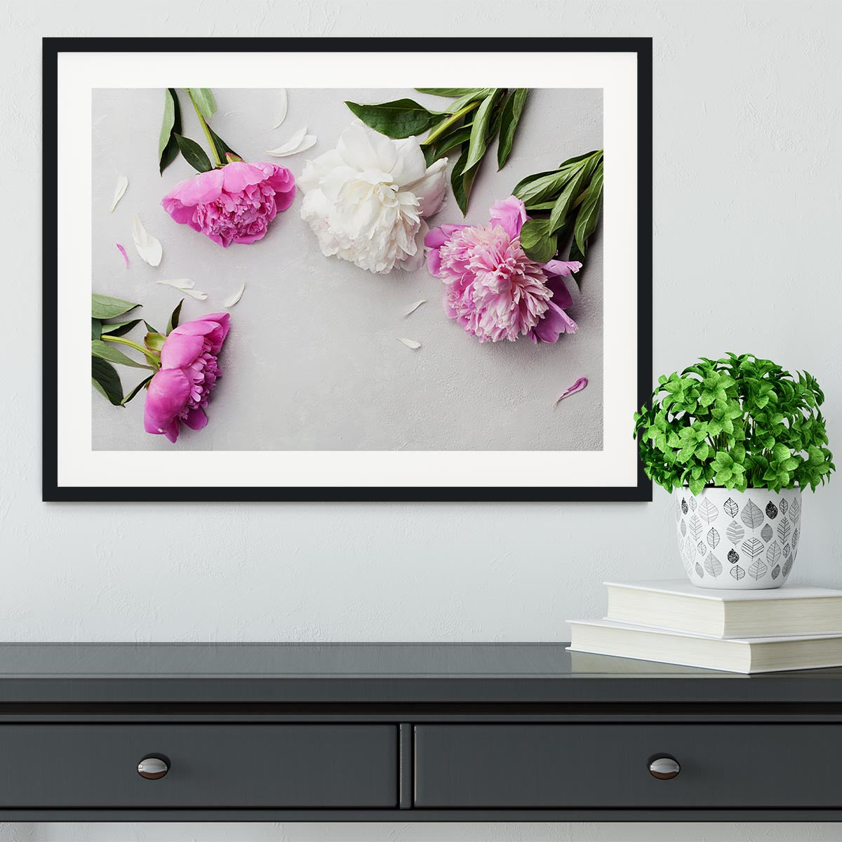 Beautiful pink and white peony flowers Framed Print - Canvas Art Rocks - 1