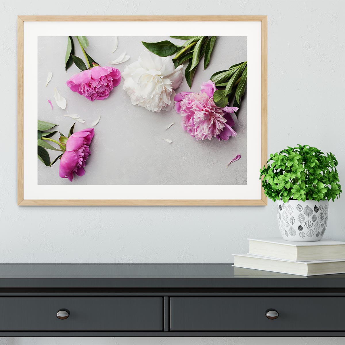 Beautiful pink and white peony flowers Framed Print - Canvas Art Rocks - 3