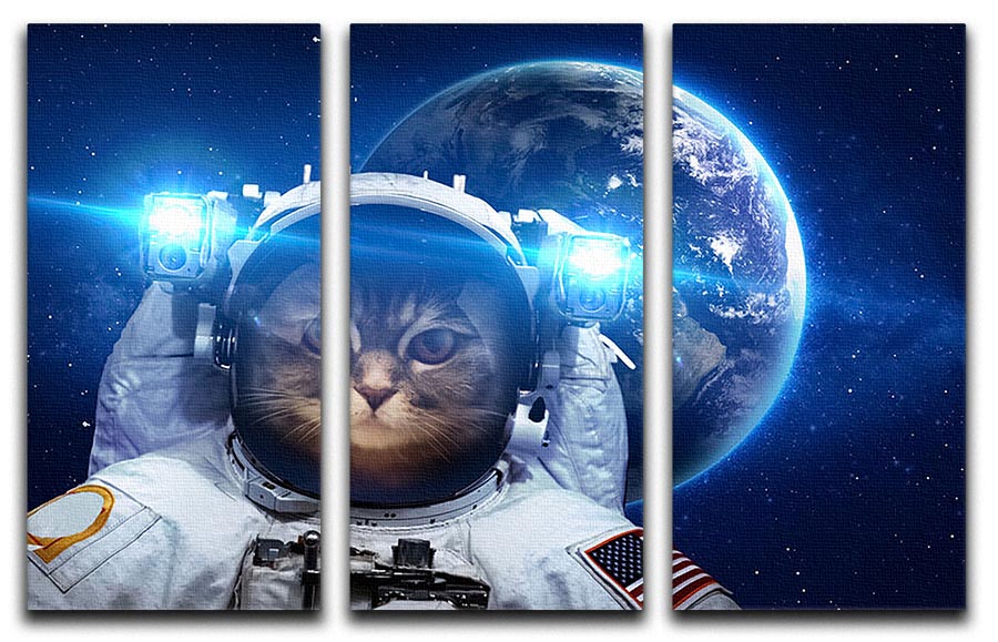 Beautiful tabby cat in outer space 3 Split Panel Canvas Print - Canvas Art Rocks - 1
