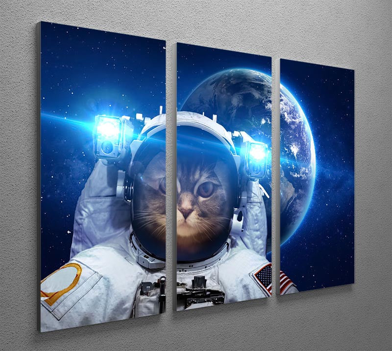 Beautiful tabby cat in outer space 3 Split Panel Canvas Print - Canvas Art Rocks - 2