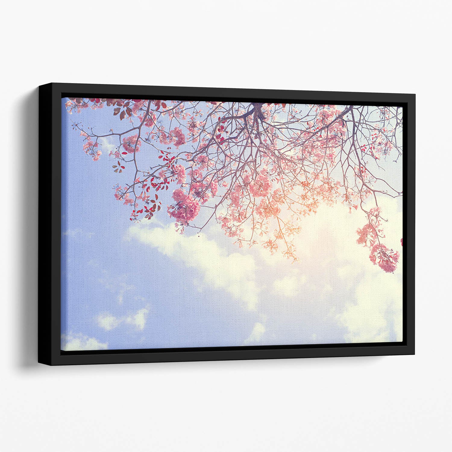 Beautiful tree pink flower in spring Floating Framed Canvas