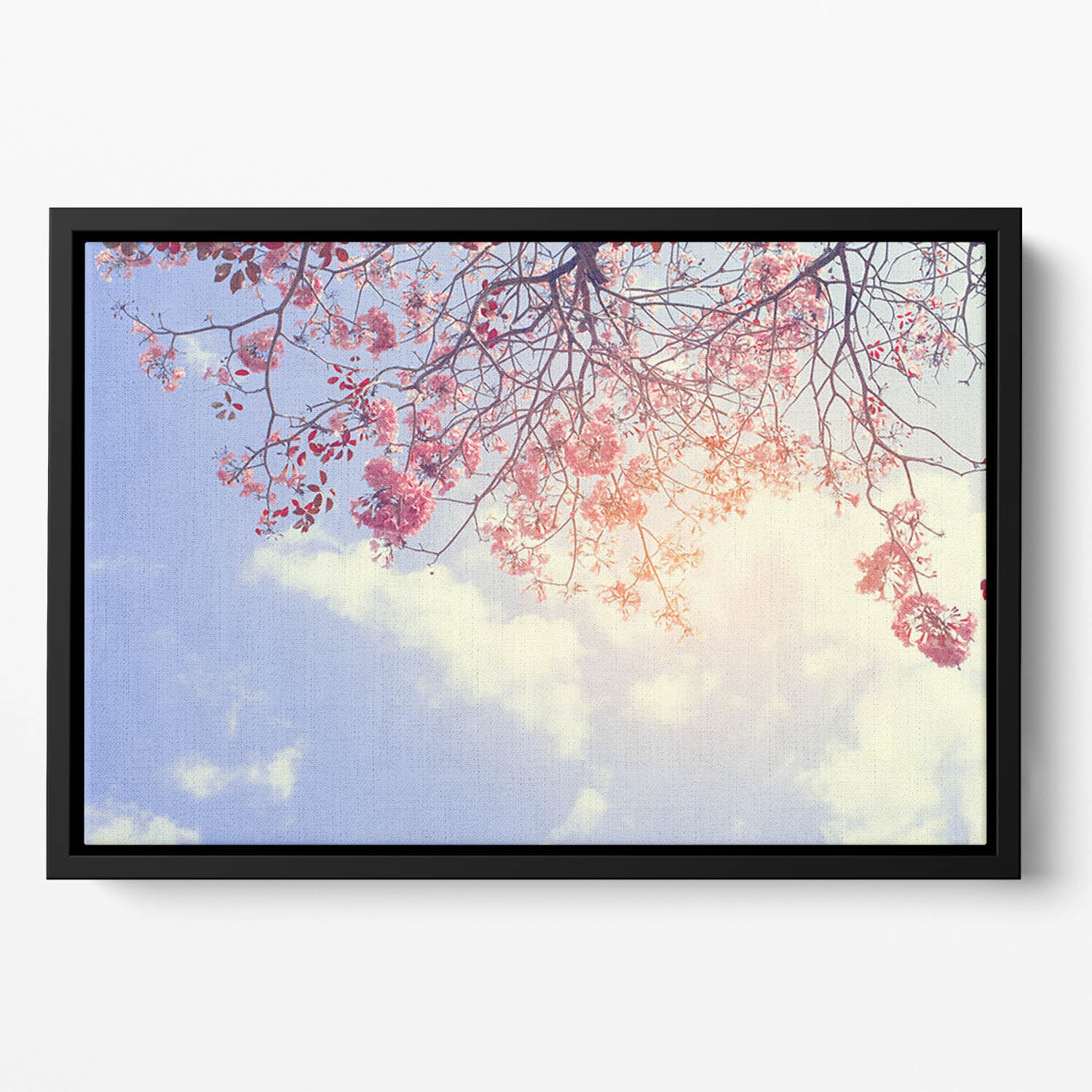 Beautiful tree pink flower in spring Floating Framed Canvas