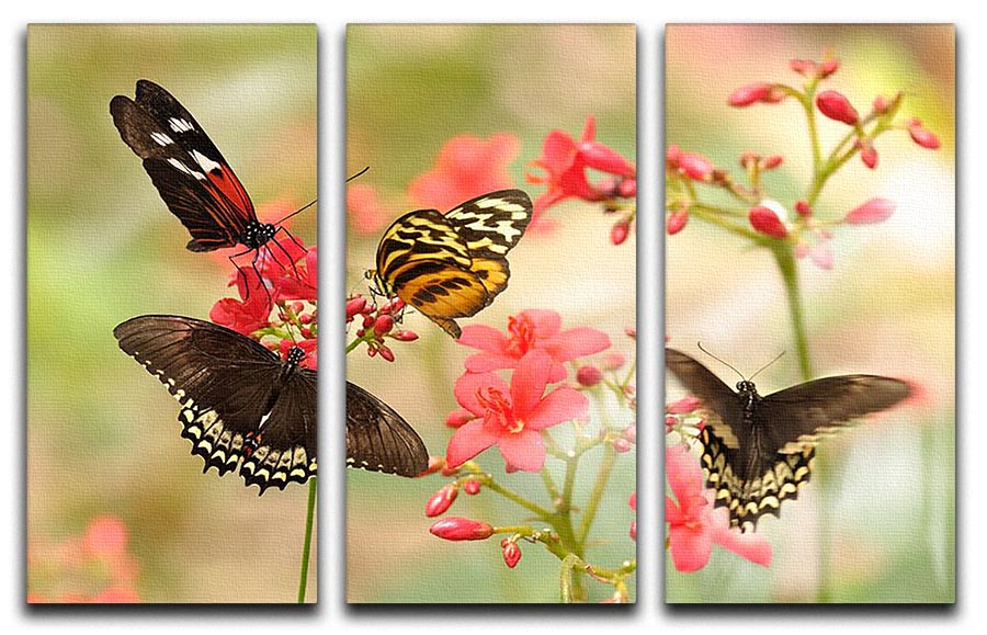 Beautiful tropical butterflies on a red flowers 3 Split Panel Canvas Print - Canvas Art Rocks - 1