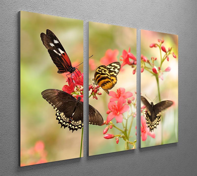 Beautiful tropical butterflies on a red flowers 3 Split Panel Canvas Print - Canvas Art Rocks - 2