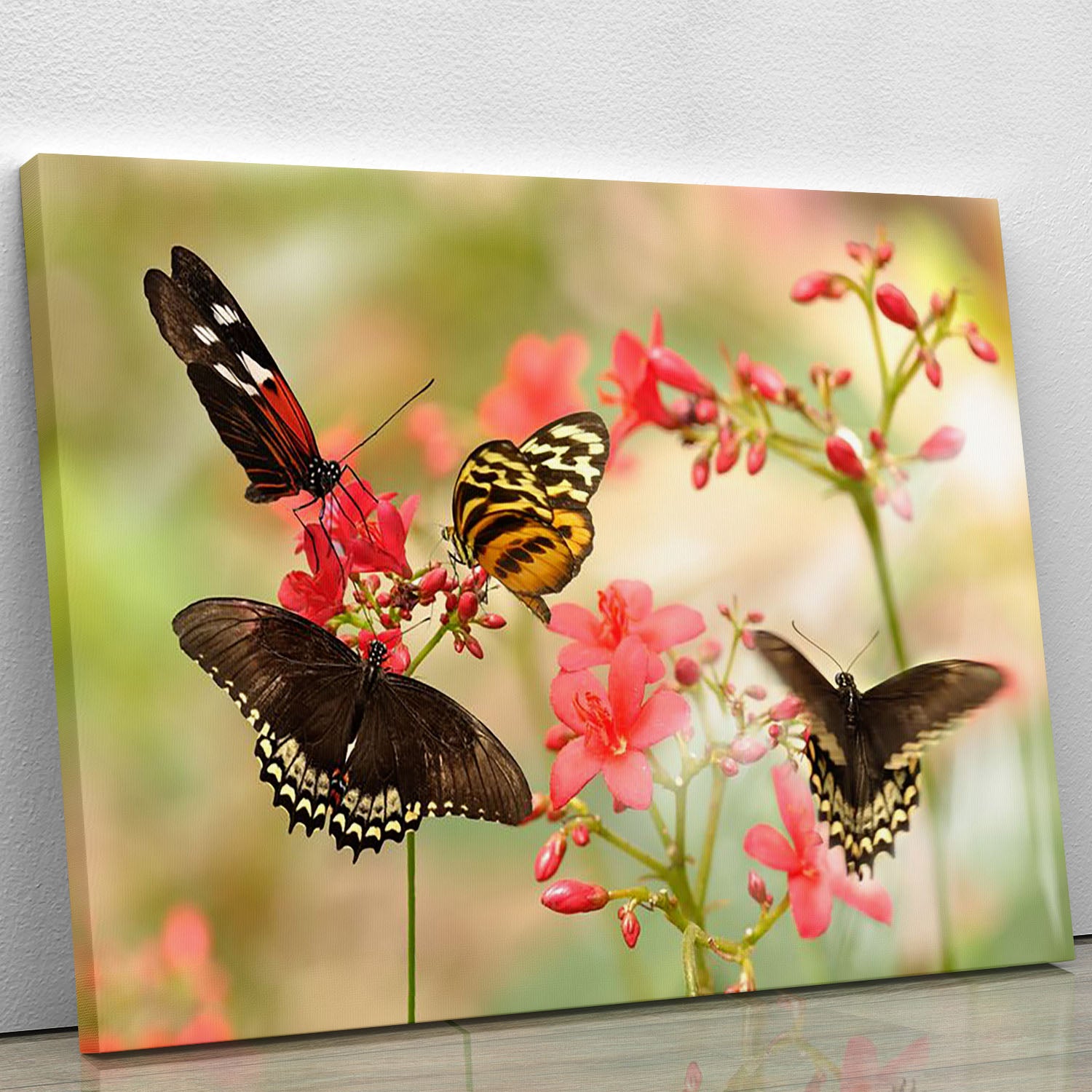 Beautiful tropical butterflies on a red flowers Canvas Print or Poster - Canvas Art Rocks - 1