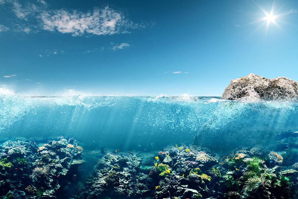 Beautiful underwater australia Wall Mural Wallpaper - Canvas Art Rocks - 1