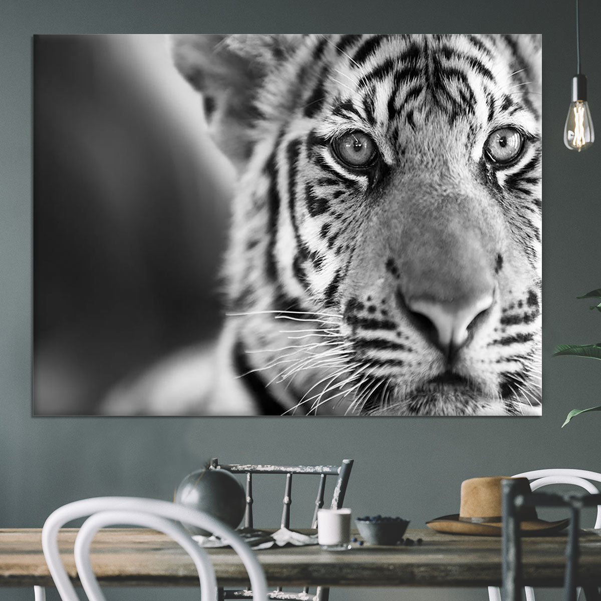 Beautiful young tiger Canvas Print or Poster - Canvas Art Rocks - 3