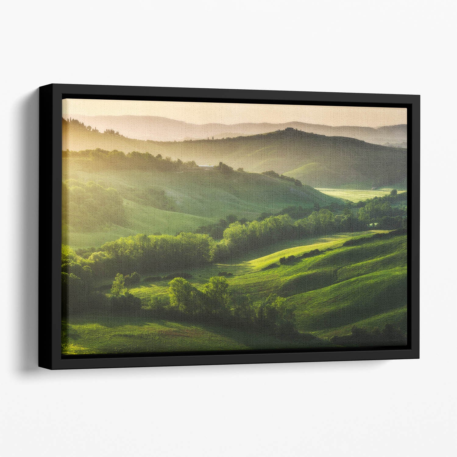Beautifully illuminated landscape Floating Framed Canvas