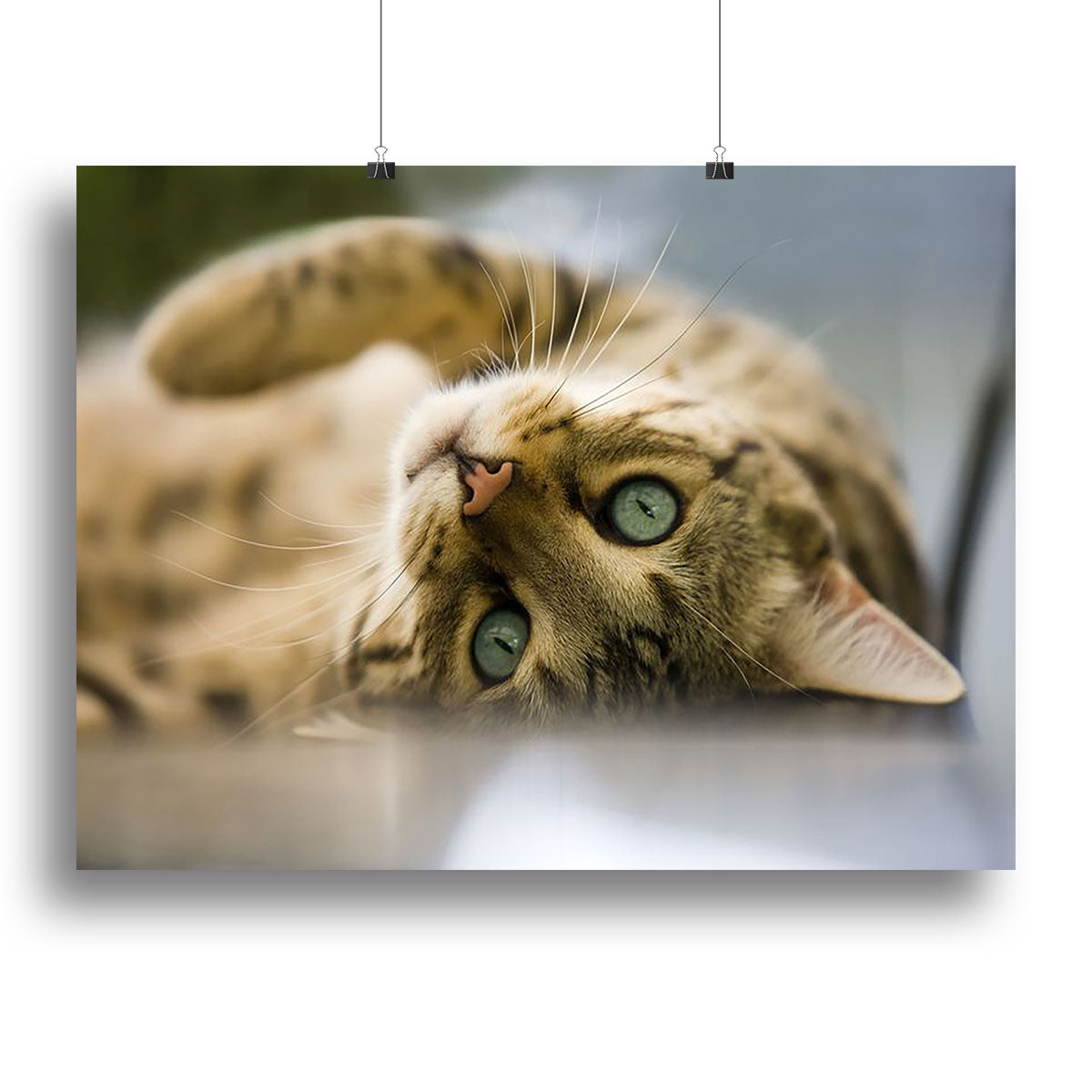 Bengal cat Canvas Print or Poster - Canvas Art Rocks - 2