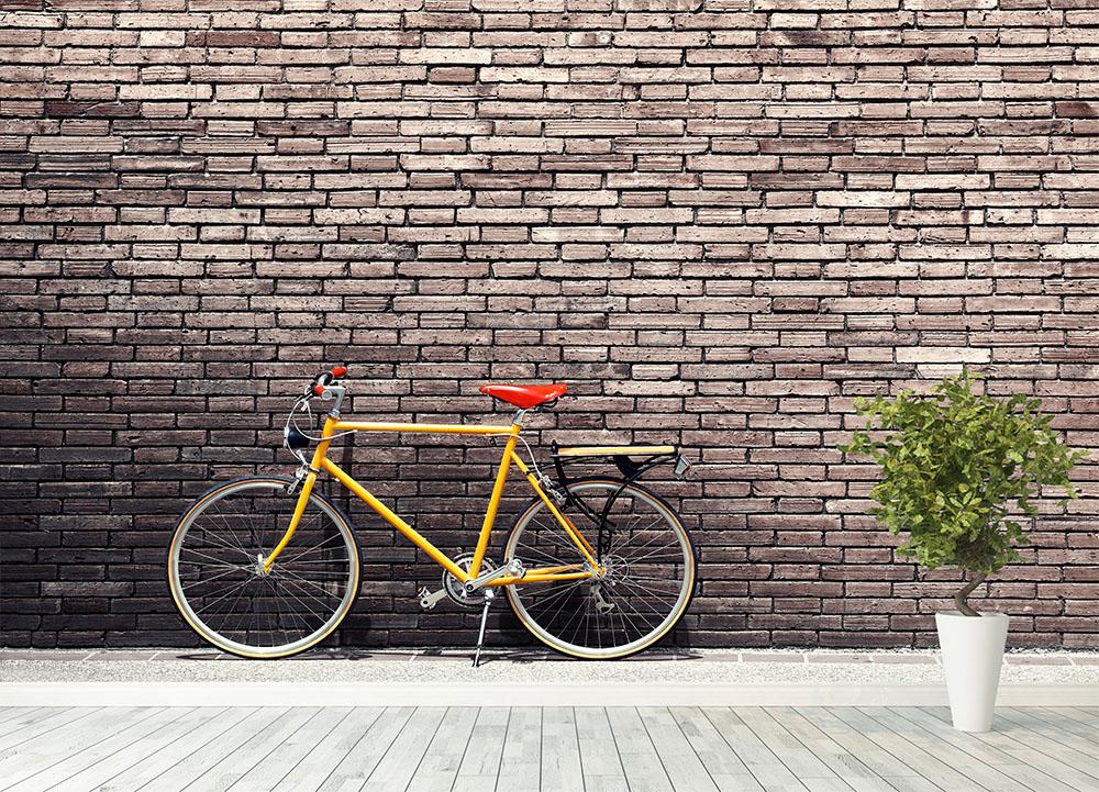 Bicycle against wall online