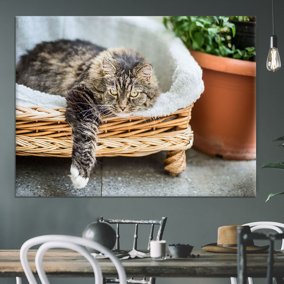 Big fluffy cat lying in wicker chaise sofa couch on balcony or garden terrace with flowers pot Canvas Print or Poster - Canvas Art Rocks - 3