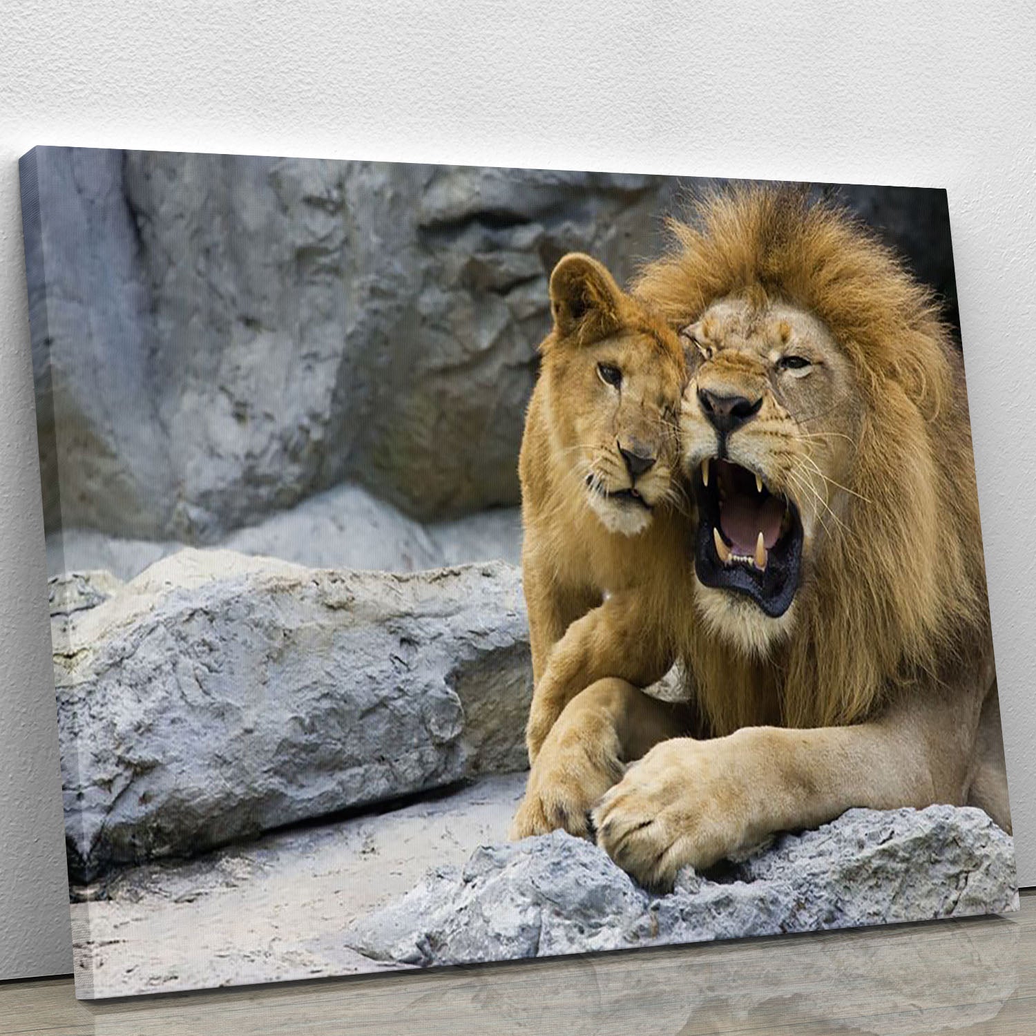Big lion father and his son playing Canvas Print or Poster - Canvas Art Rocks - 1