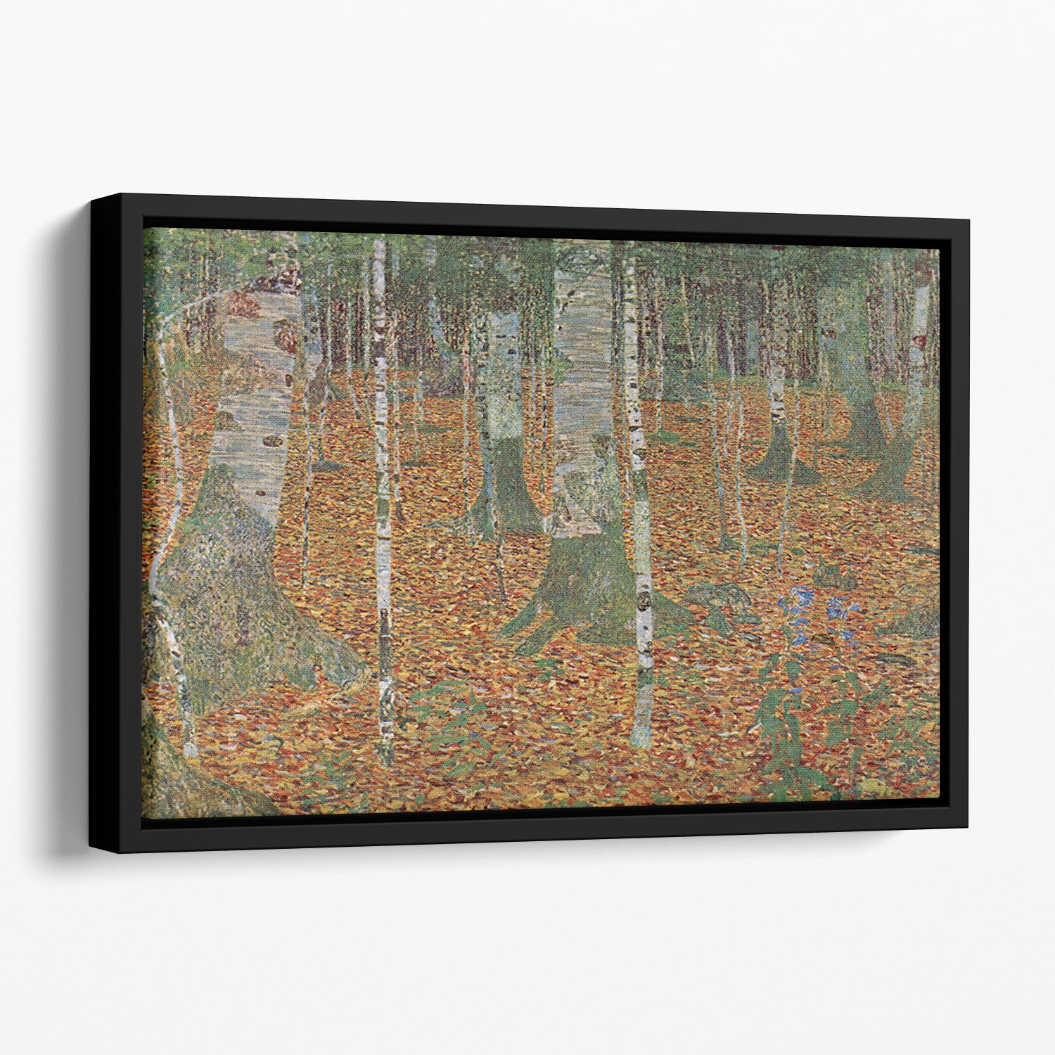 Birch Forest by Klimt Floating Framed Canvas