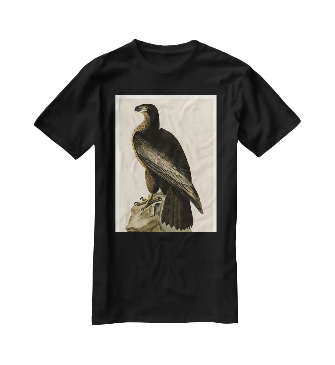 Bird of Washington by Audubon T-Shirt - Canvas Art Rocks - 1