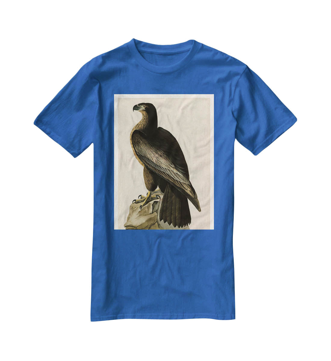 Bird of Washington by Audubon T-Shirt - Canvas Art Rocks - 2