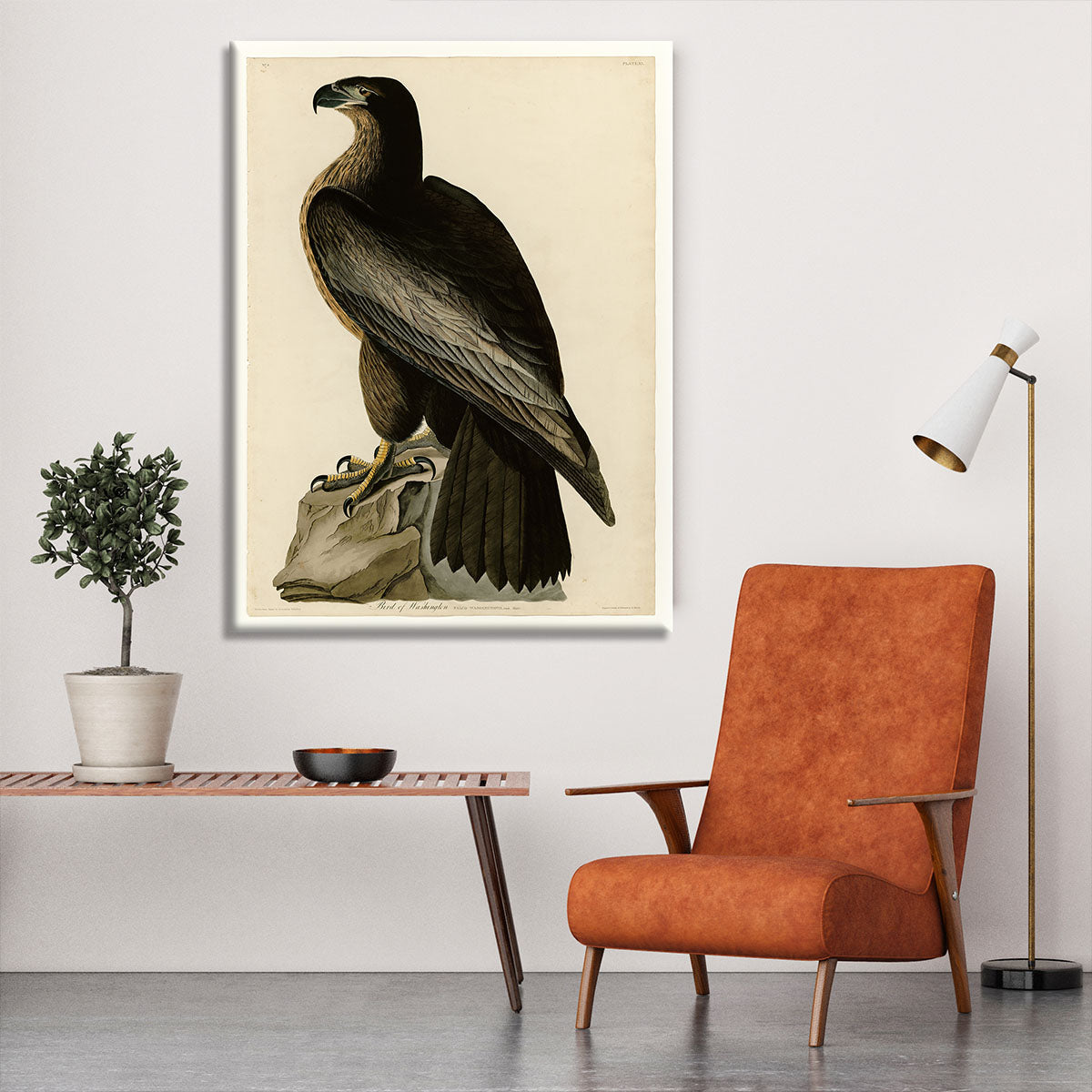 Bird of Washington by Audubon Canvas Print or Poster - Canvas Art Rocks - 6