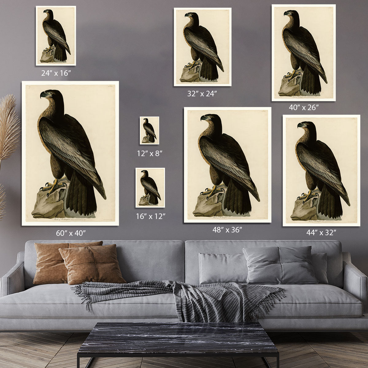 Bird of Washington by Audubon Canvas Print or Poster - Canvas Art Rocks - 7