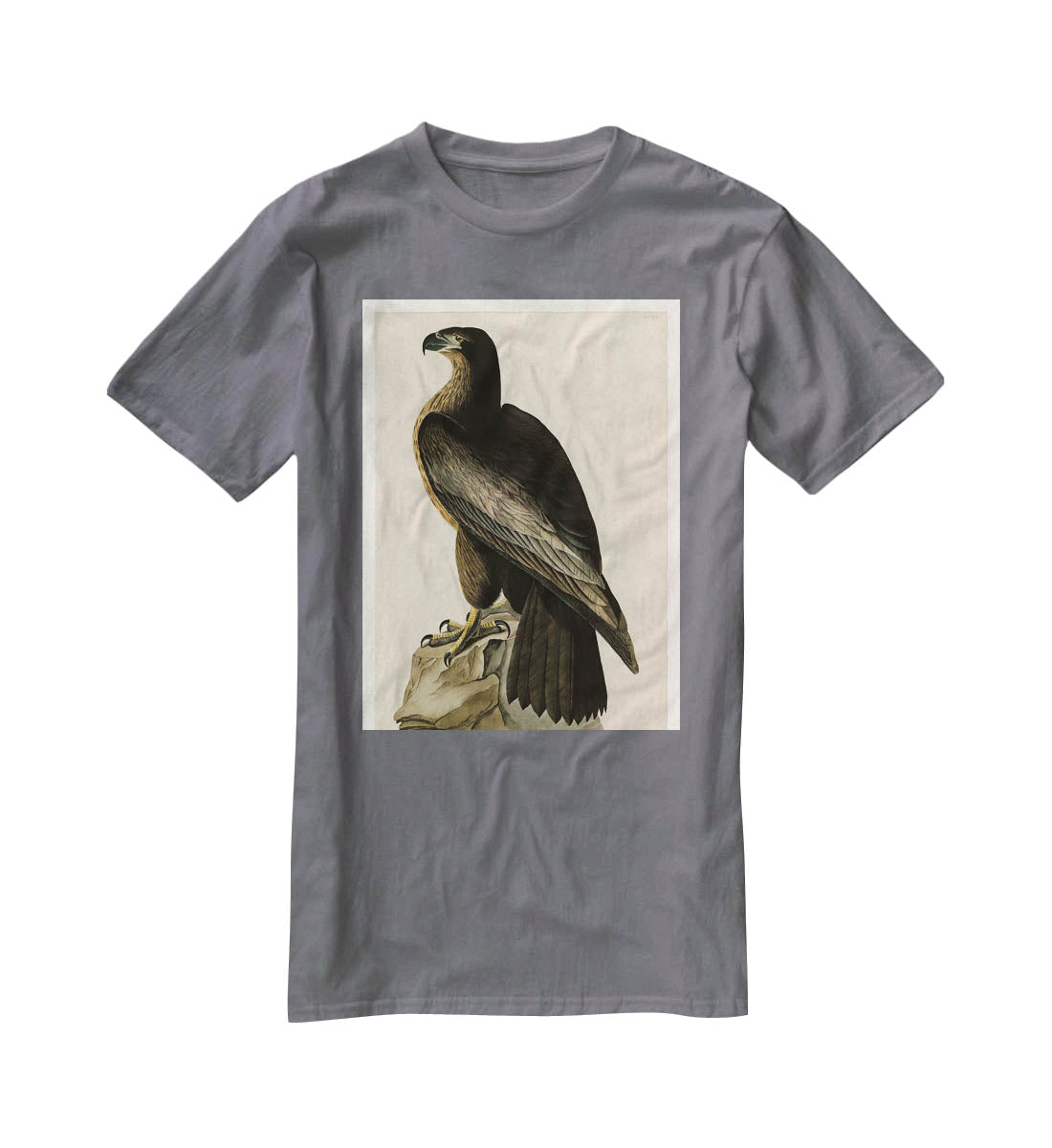 Bird of Washington by Audubon T-Shirt - Canvas Art Rocks - 3