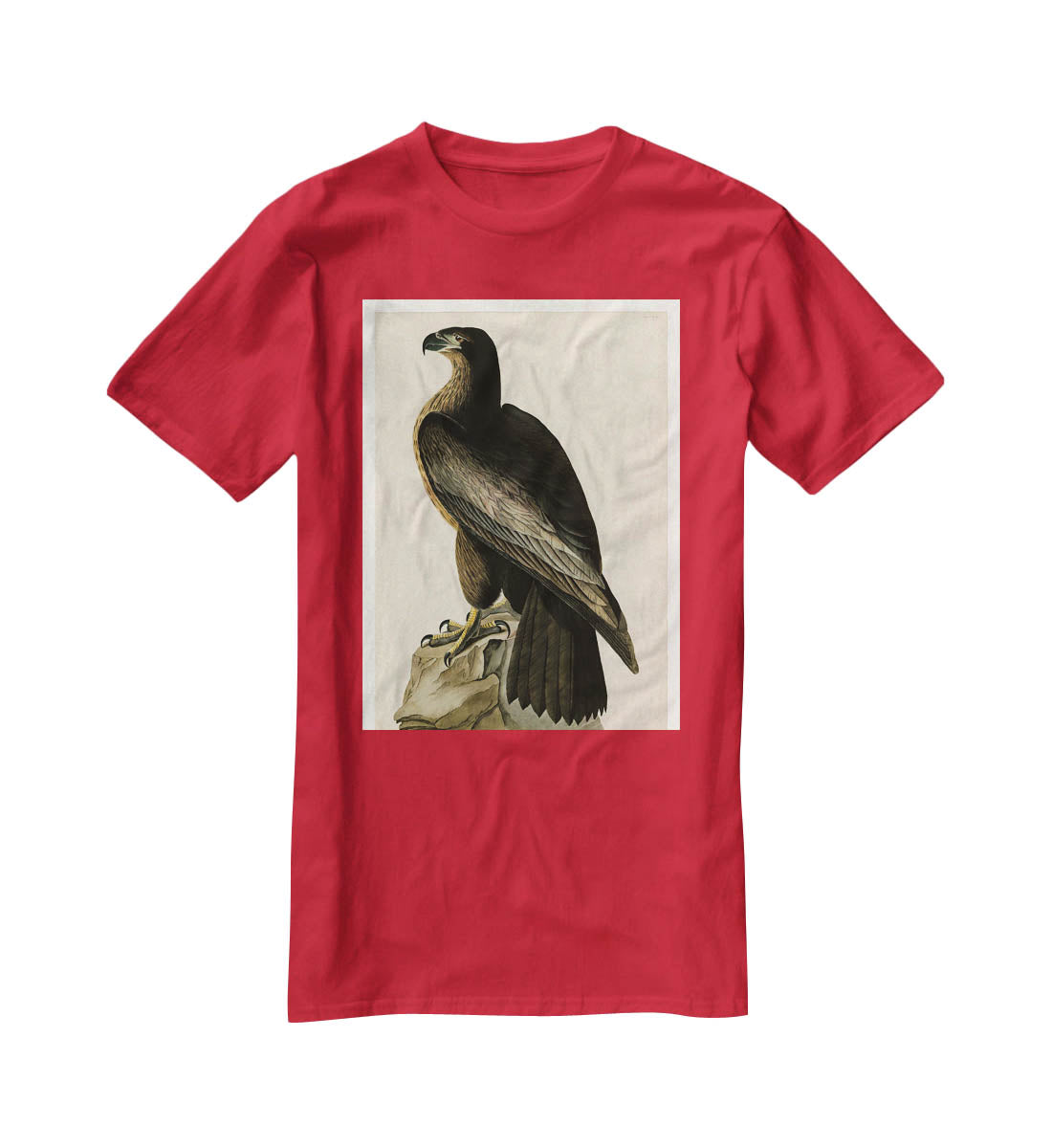 Bird of Washington by Audubon T-Shirt - Canvas Art Rocks - 4