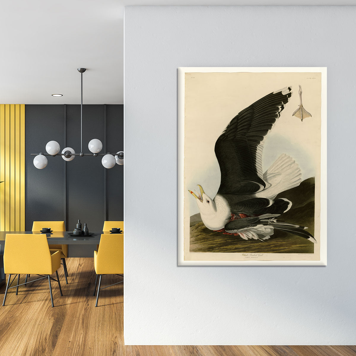 Black Backed Gull by Audubon Canvas Print or Poster - Canvas Art Rocks - 4