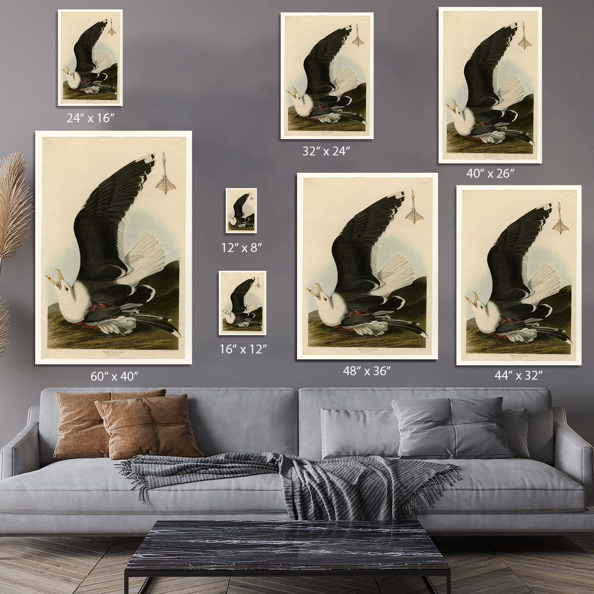 Black Backed Gull by Audubon Canvas Print or Poster - Canvas Art Rocks - 7
