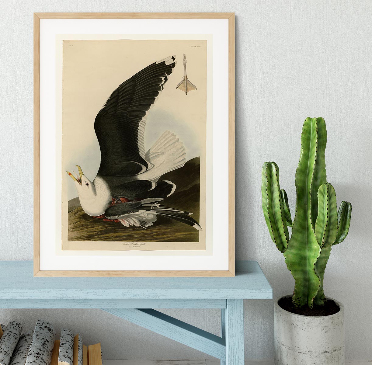 Black Backed Gull by Audubon Framed Print - Canvas Art Rocks - 3