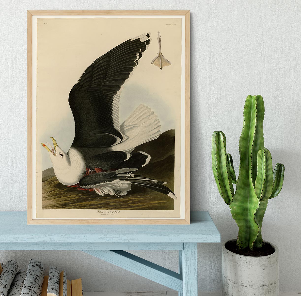 Black Backed Gull by Audubon Framed Print - Canvas Art Rocks - 4
