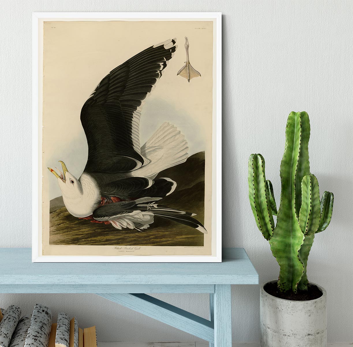 Black Backed Gull by Audubon Framed Print - Canvas Art Rocks -6
