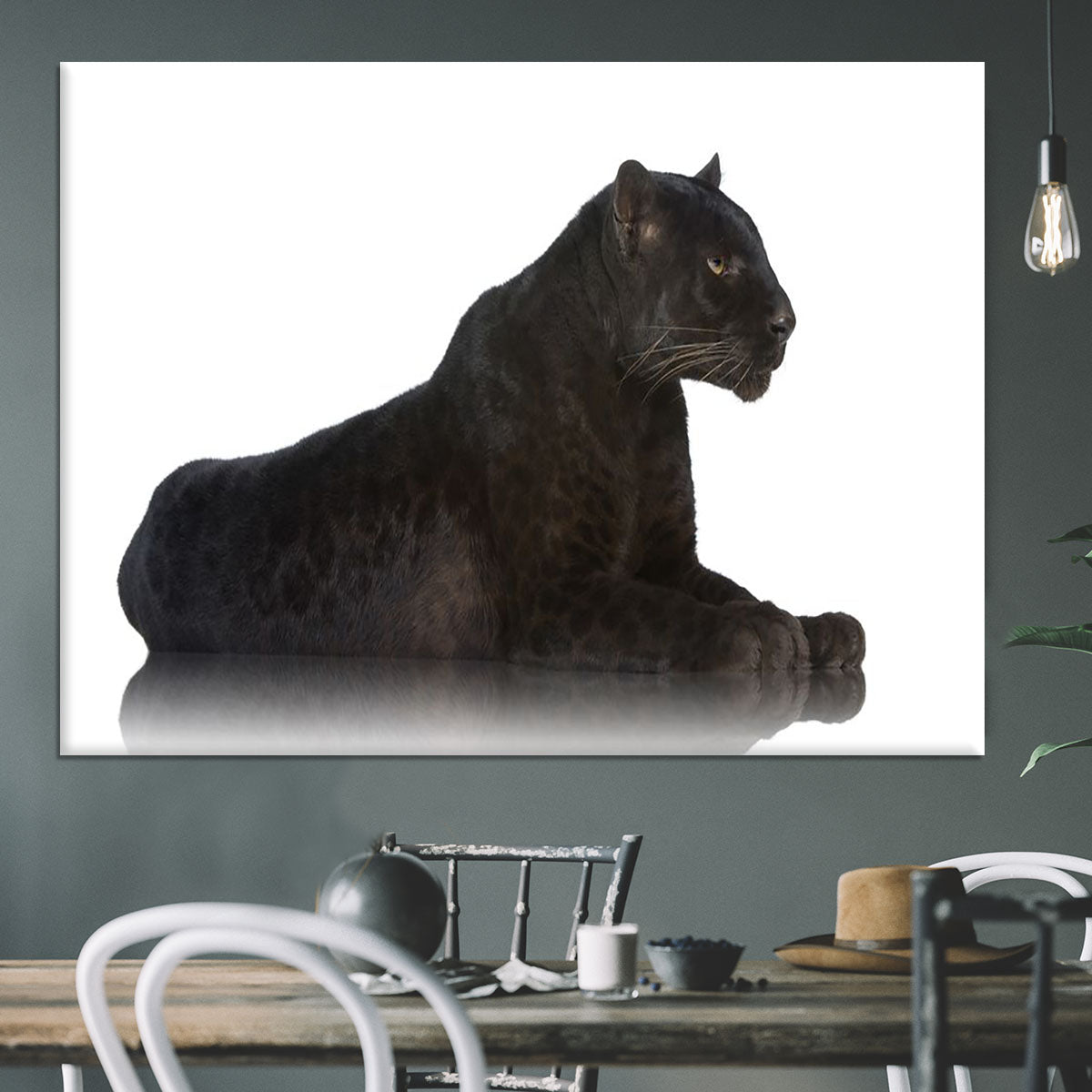 Black Leopard 6 years in front of a white background Canvas Print or Poster - Canvas Art Rocks - 3