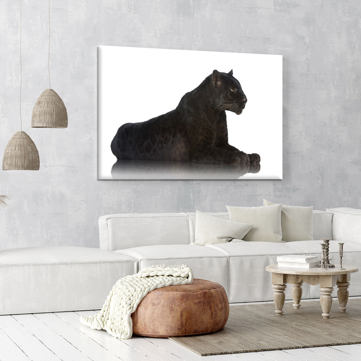 Black Leopard 6 years in front of a white background Canvas Print or Poster - Canvas Art Rocks - 6