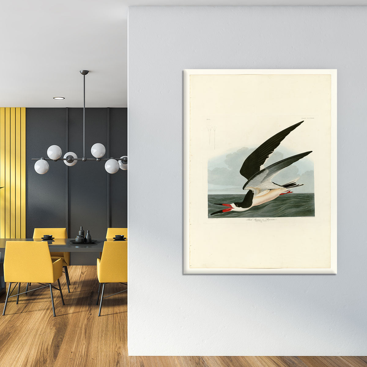 Black Skimmer by Audubon Canvas Print or Poster - Canvas Art Rocks - 4