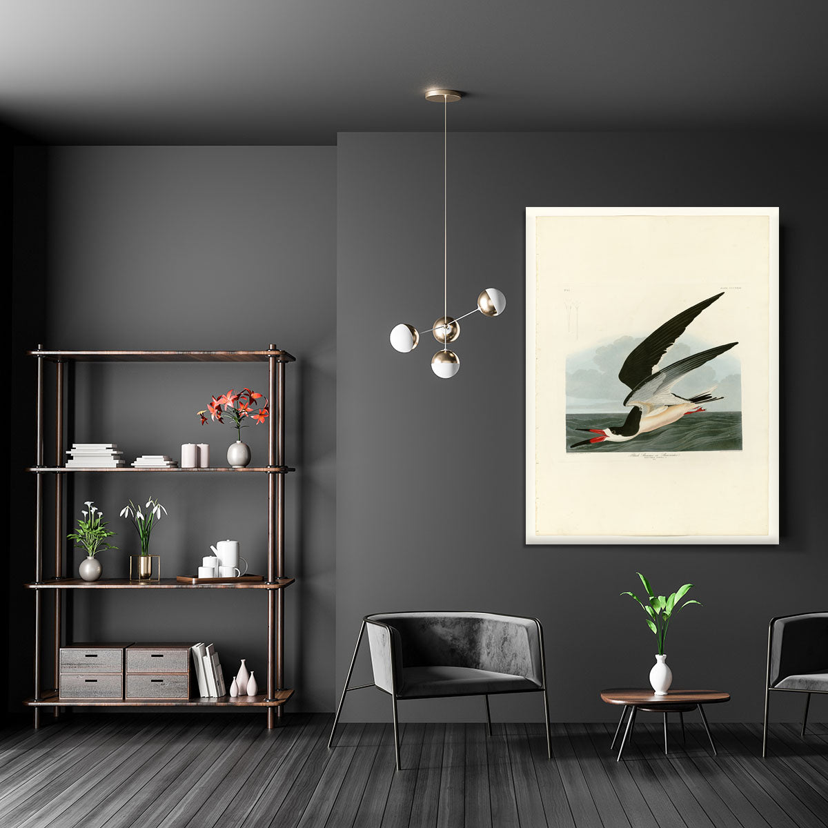 Black Skimmer by Audubon Canvas Print or Poster - Canvas Art Rocks - 5
