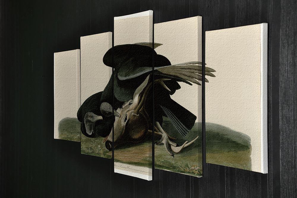 Black Vulture by Audubon 5 Split Panel Canvas - Canvas Art Rocks - 2