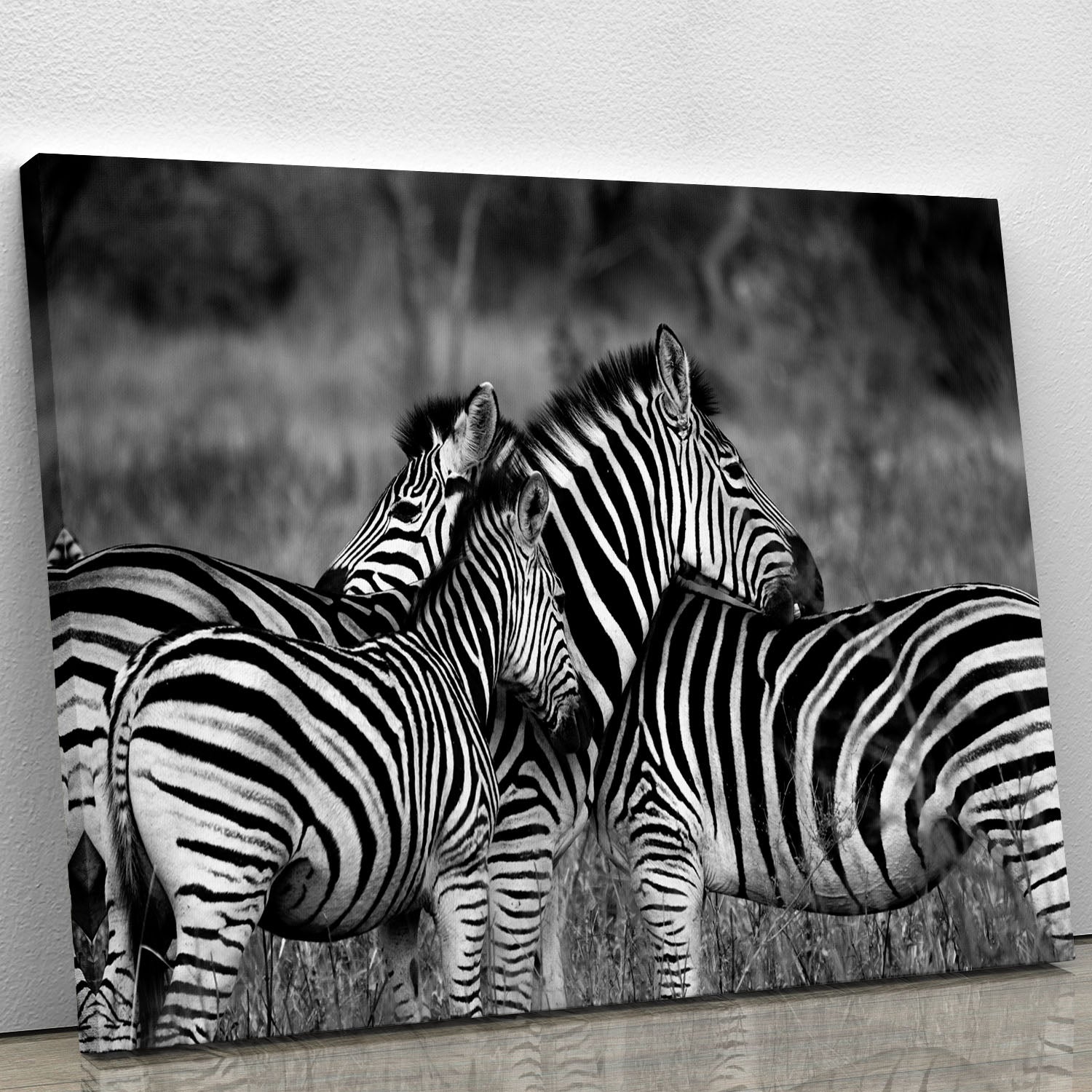 Black and White Zebra Canvas Print or Poster - Canvas Art Rocks - 1